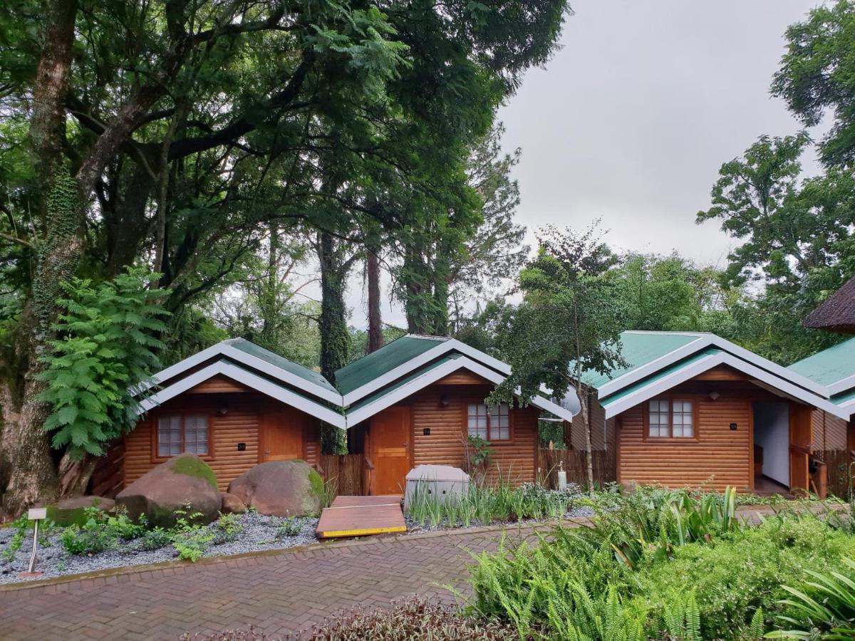 뉴캐슬 Haggards On Hilldrop B&B 외부 사진